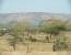 8 Day Serengeti Wildebeest Migration Safari