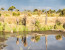 3-Day Tanzania in a Short Glimpse Safari