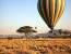 7 Days Migration Safari in Tanzania/Serengeti