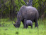 4-Day Mziki Eco Escape