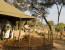 4 Days Budget Tanzania Action Safari