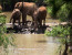 3-Day Thakadu River Camp, Madikwe Private Game Reserve