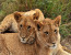 3-Day Thakadu River Camp, Madikwe Private Game Reserve