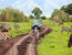 4 Day Safari to Ruaha National Park