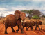 3 Days, 2 Nights Safari to Tsavo from Nairobi