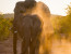 SA TO ZAMBIA: THE GREAT AFRICAN ADVENTURE