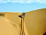 Coastal Adventure in the Namib Desert!