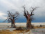 8 Days Guided Delta & Chobe Trail Tour