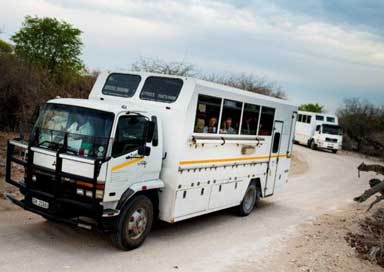 Two overland trucks during safari tour with tourists inside