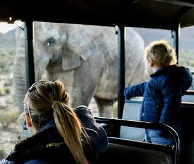 Mother and child observing a wild elephant from the inside of a safaribus